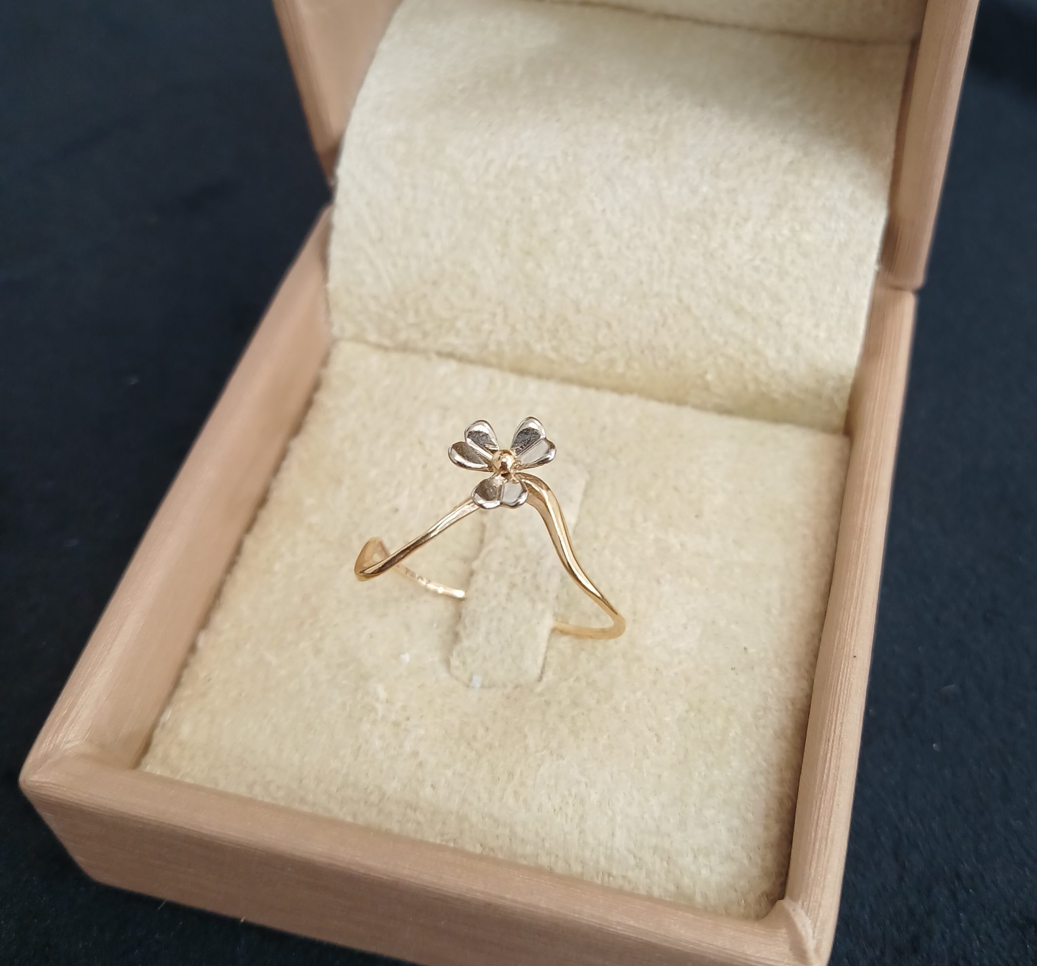 ۲۰۲۶۰۲۰۹_۱۱۲۴۳۶