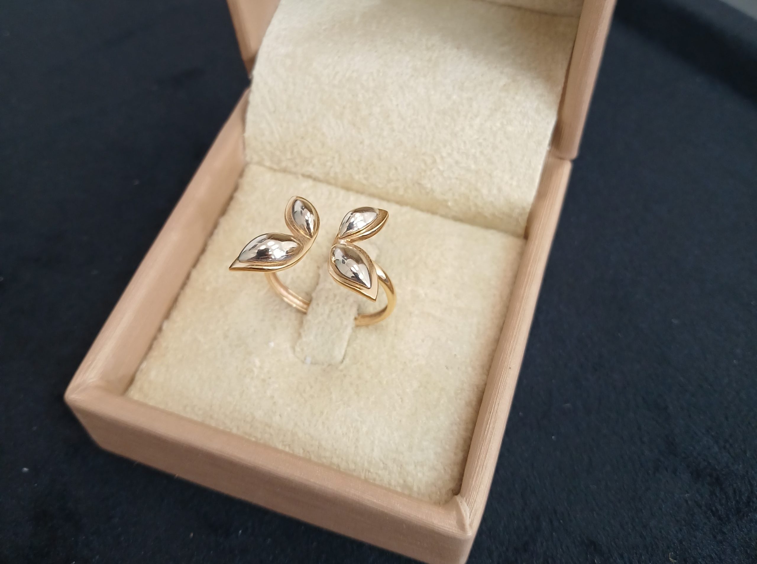 ۲۰۲۶۰۲۰۹_۱۱۲۵۵۰