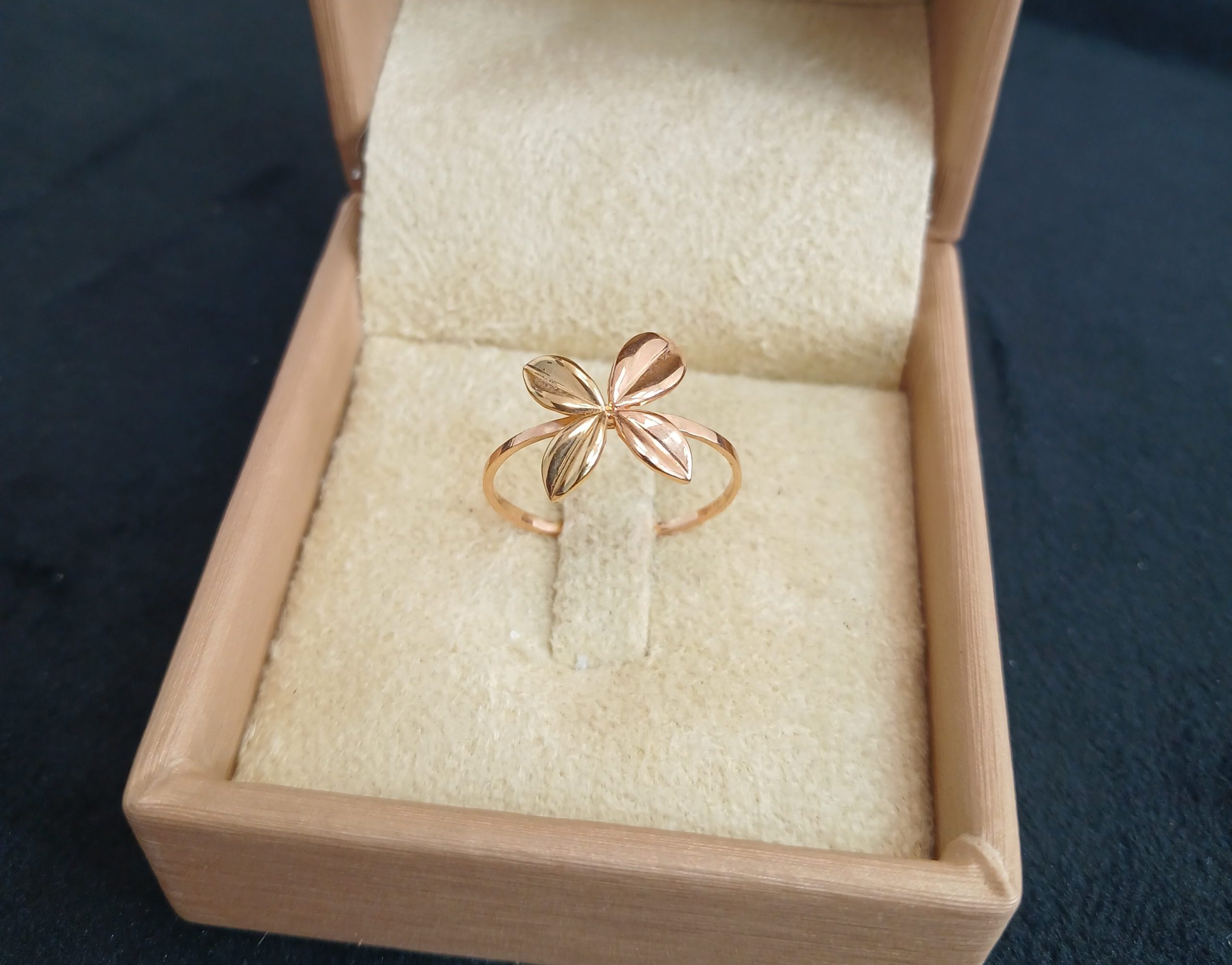 ۲۰۲۶۰۲۰۹_۱۱۳۱۵۴