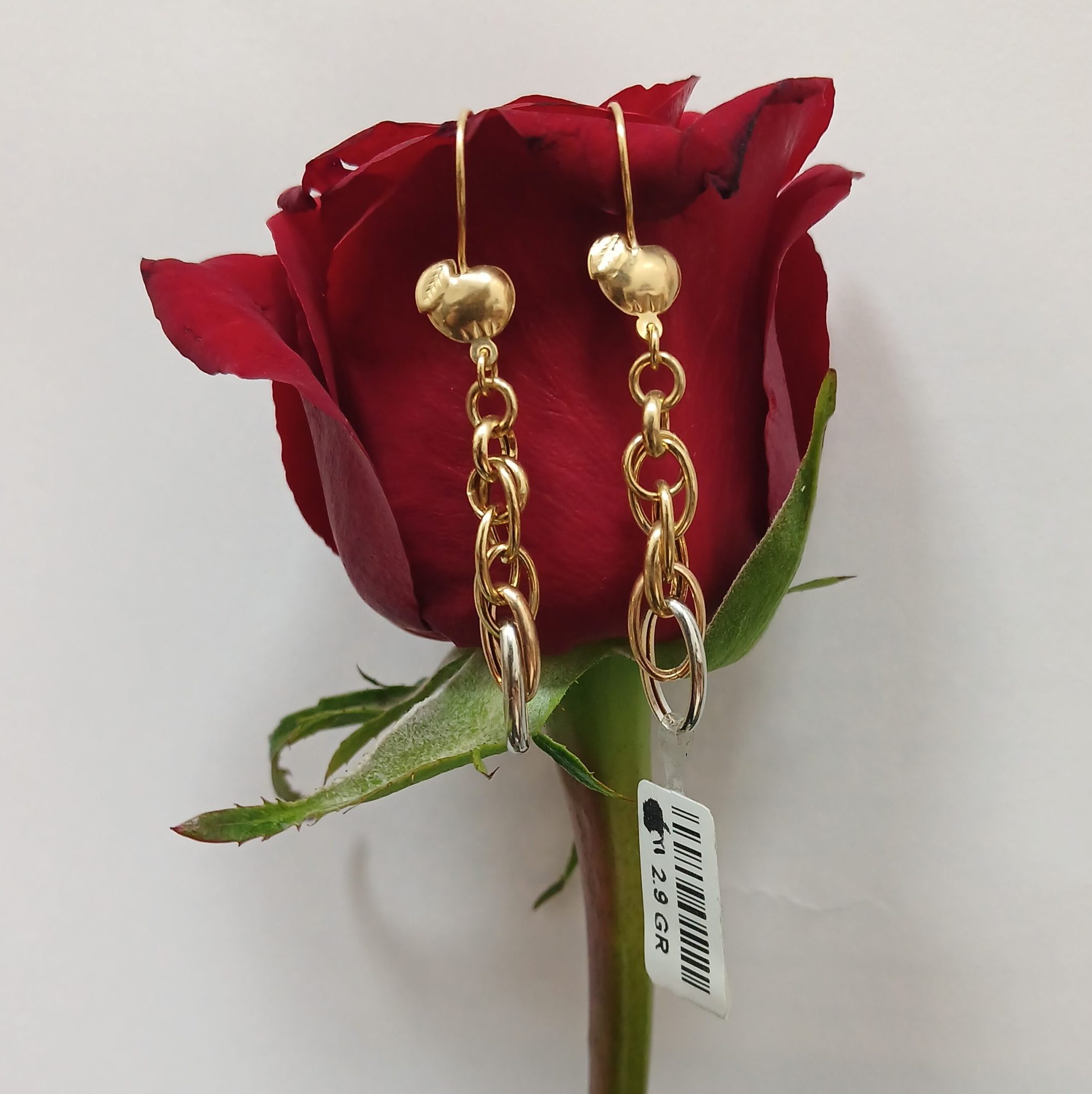 ۲۰۲۶۰۲۱۷_۱۱۴۹۳۴