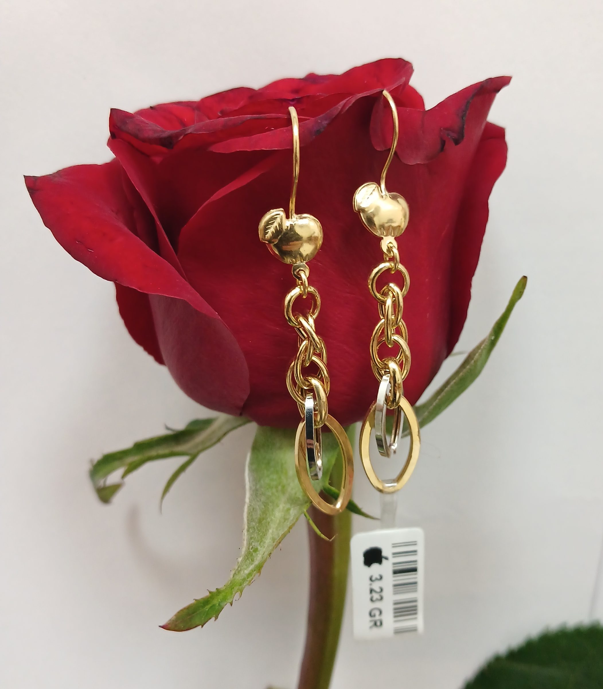 ۲۰۲۶۰۲۱۷_۱۱۵۰۰۰