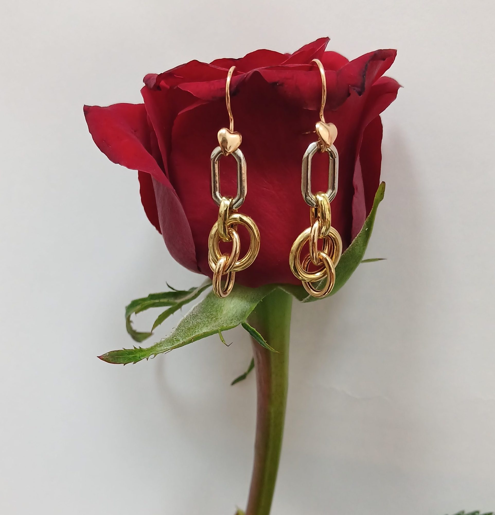 ۲۰۲۶۰۲۱۷_۱۱۵۱۴۳