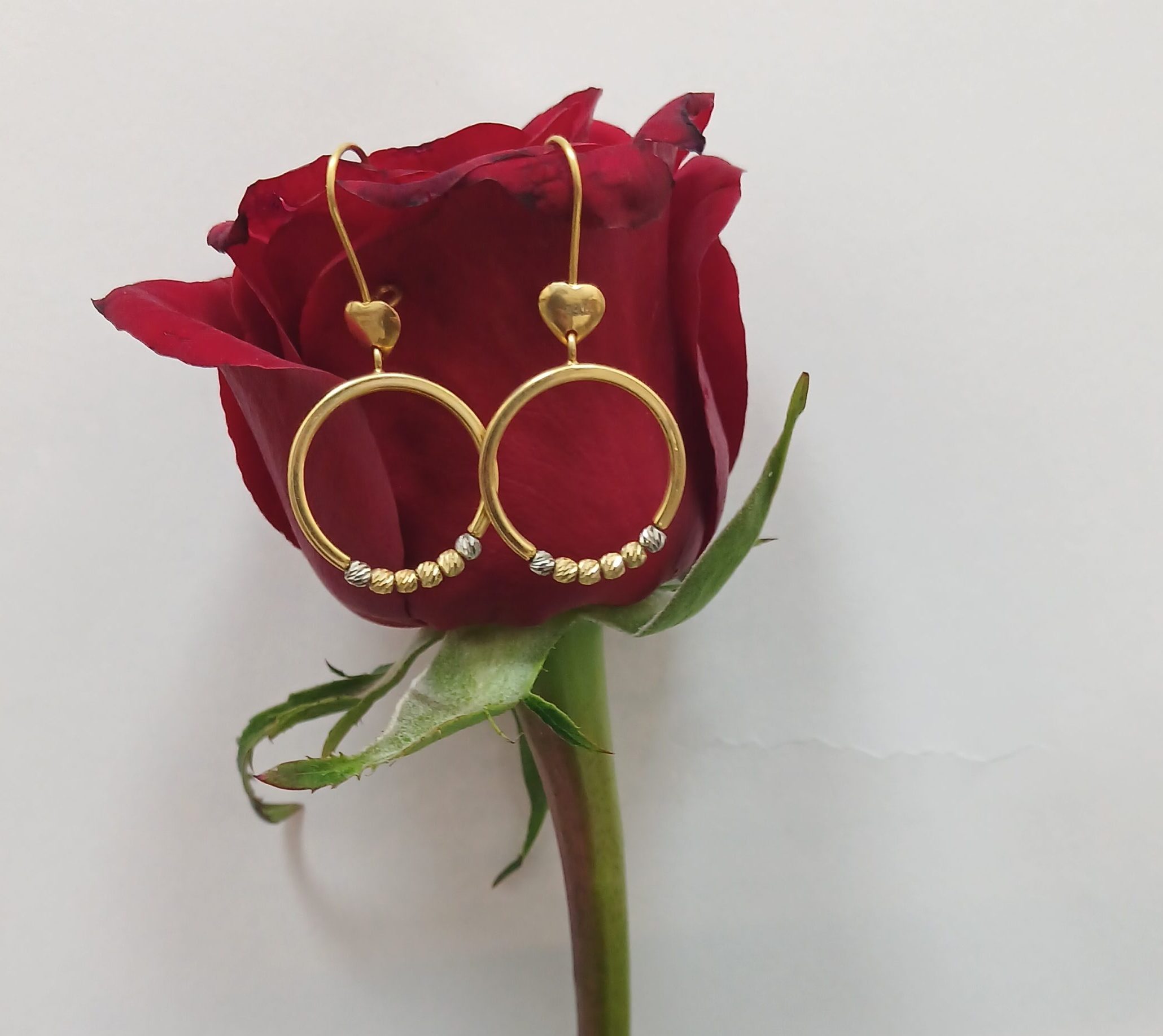 ۲۰۲۶۰۲۱۷_۱۲۰۰۳۷(0)