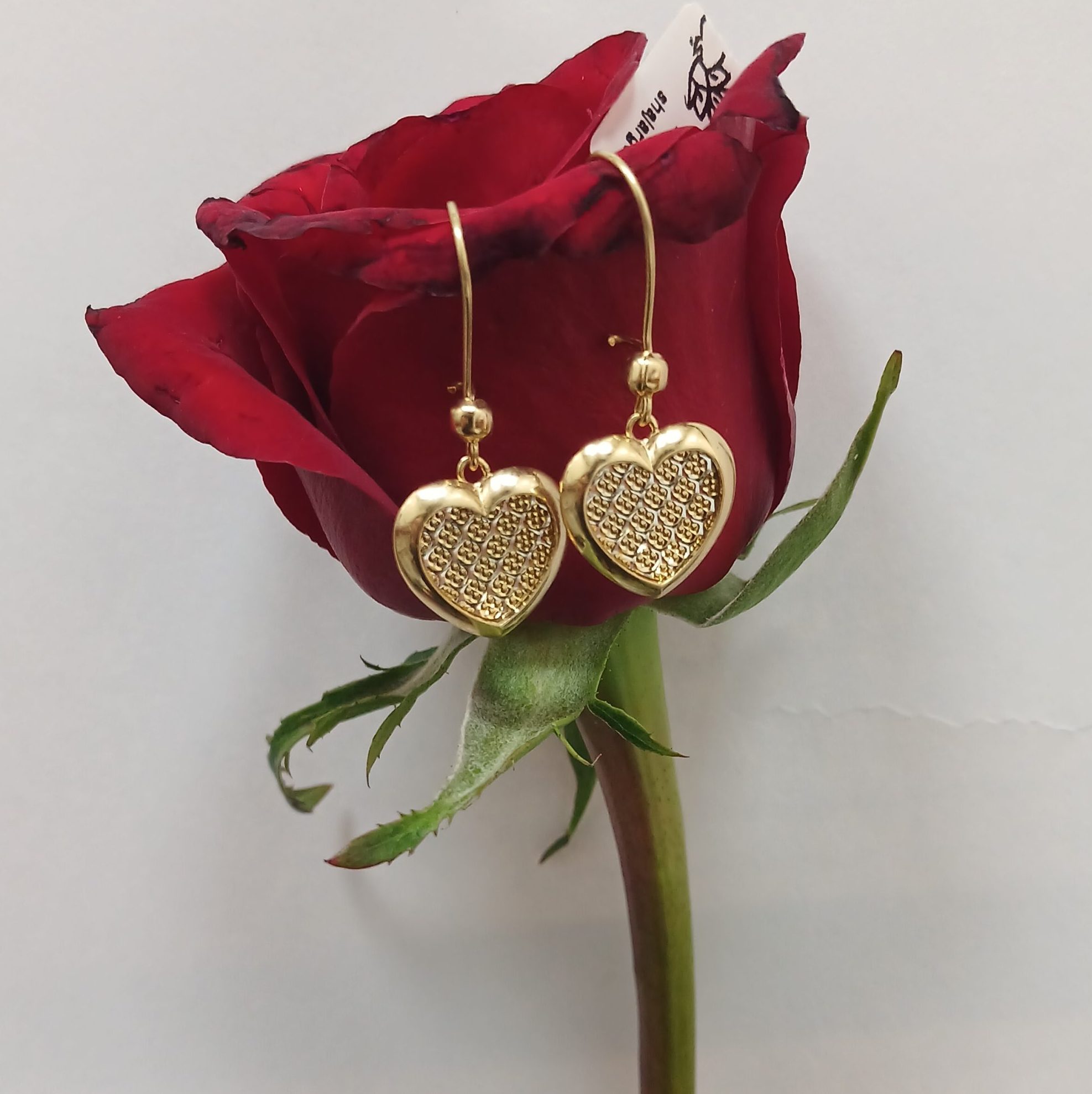 ۲۰۲۶۰۲۱۷_۱۲۱۵۴۵