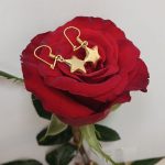 گوشواره ستاره