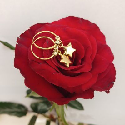 گوشواره پرنس حلقه ای