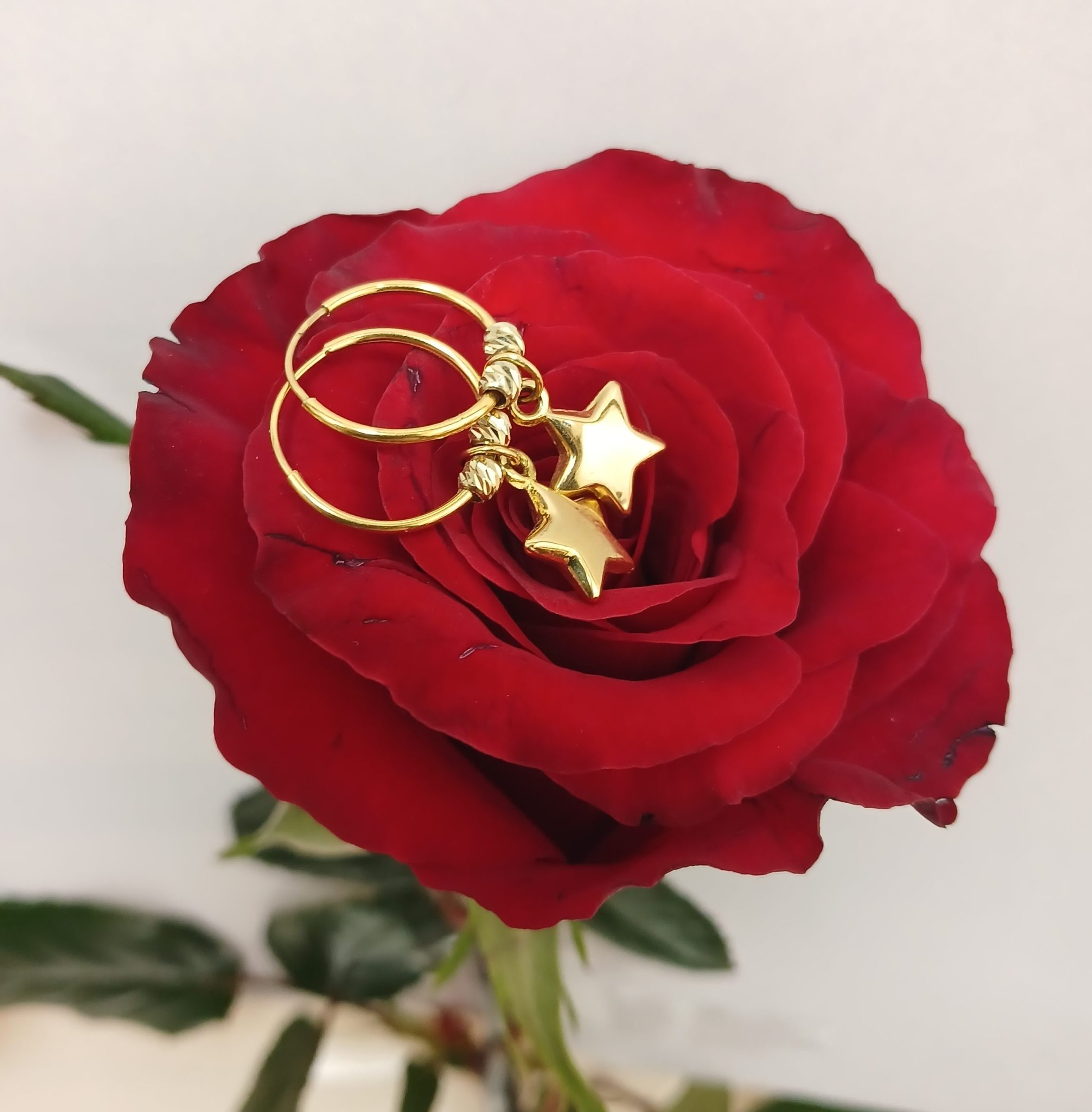 ۲۰۲۶۰۲۱۷_۱۲۴۰۳۷