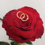 گوشواره حلقه ای تک گوی