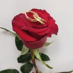 گوشواره حلقه ای لیانا