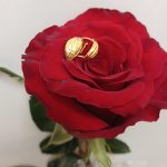 گوشواره پشت ناخنی
