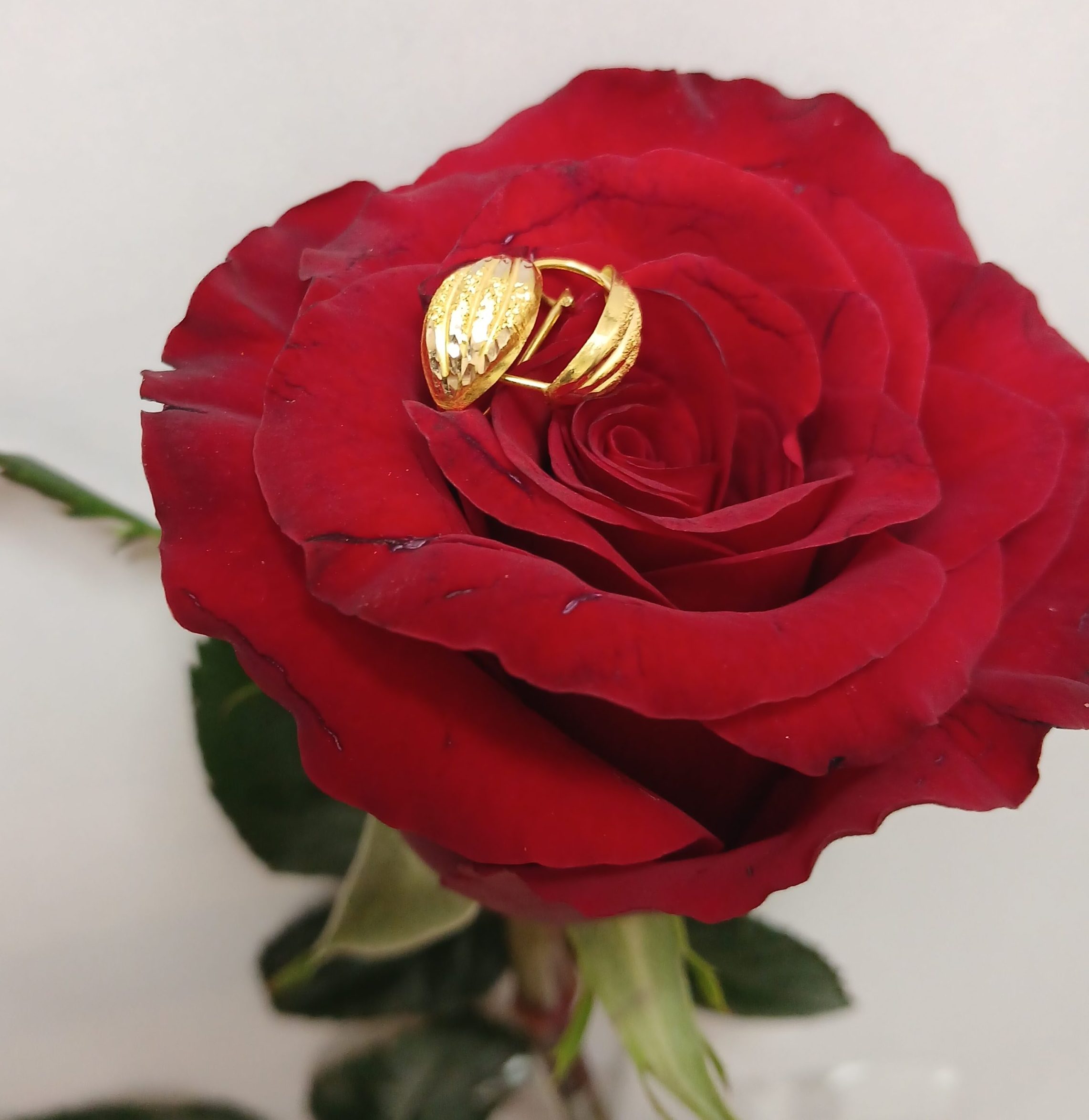 ۲۰۲۶۰۲۱۷_۱۲۵۰۲۸