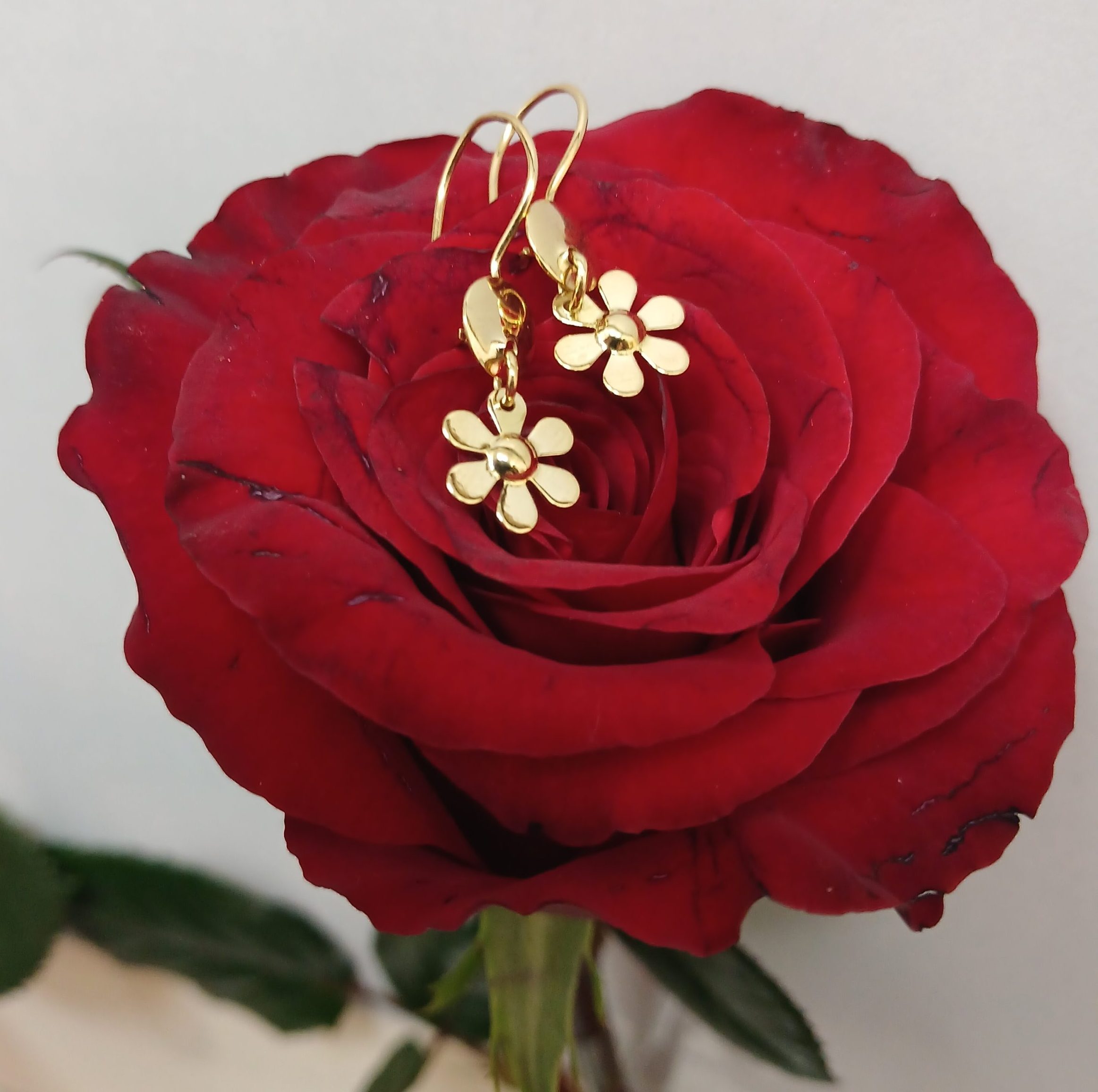 ۲۰۲۶۰۲۱۷_۱۲۵۵۱۱