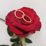 گوشواره حلقه ای