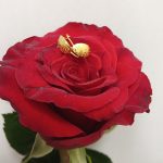 گوشواره پشت ناخنی