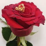 گوشواره حلقه ای