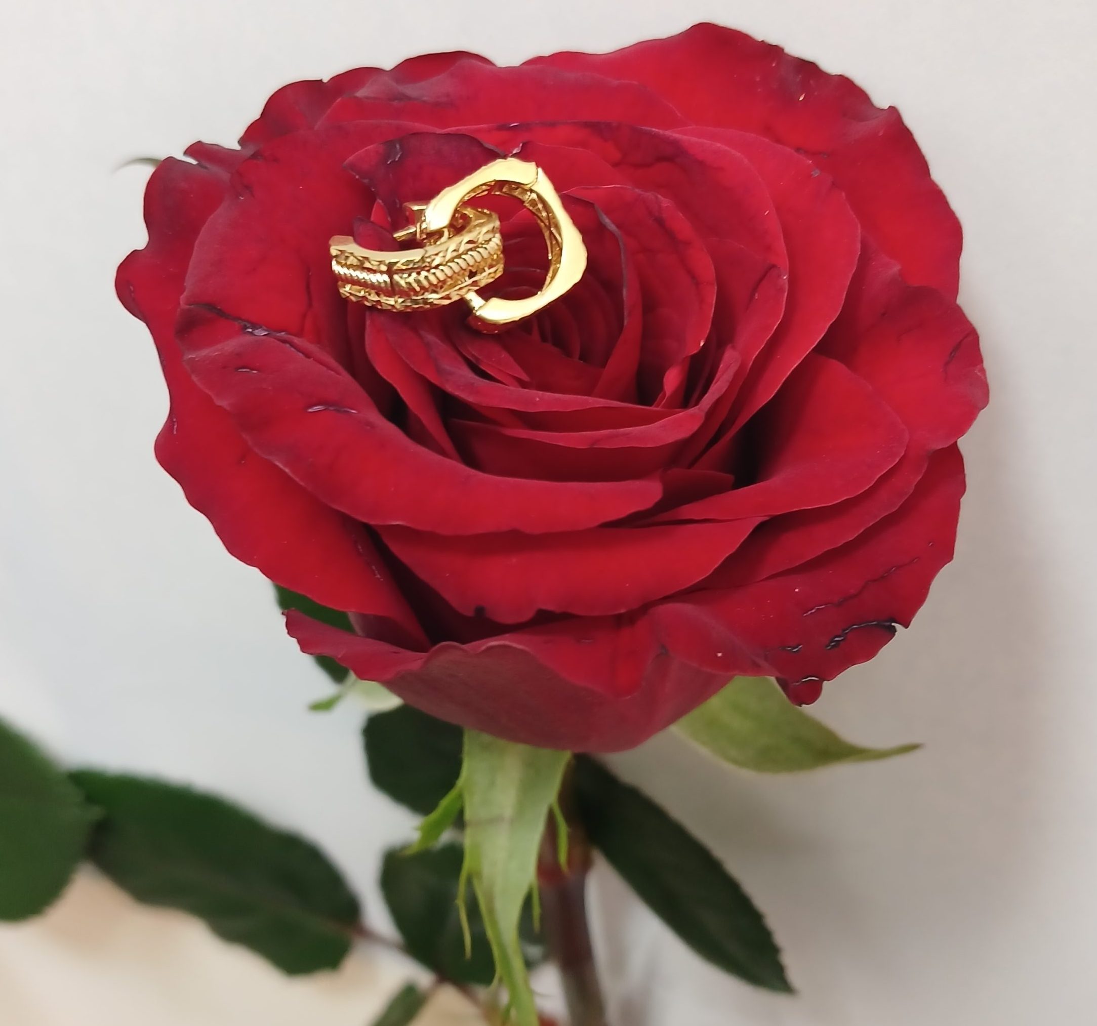 ۲۰۲۶۰۲۱۷_۱۳۰۵۲۳