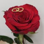 گوشواره امگا ونکلیف