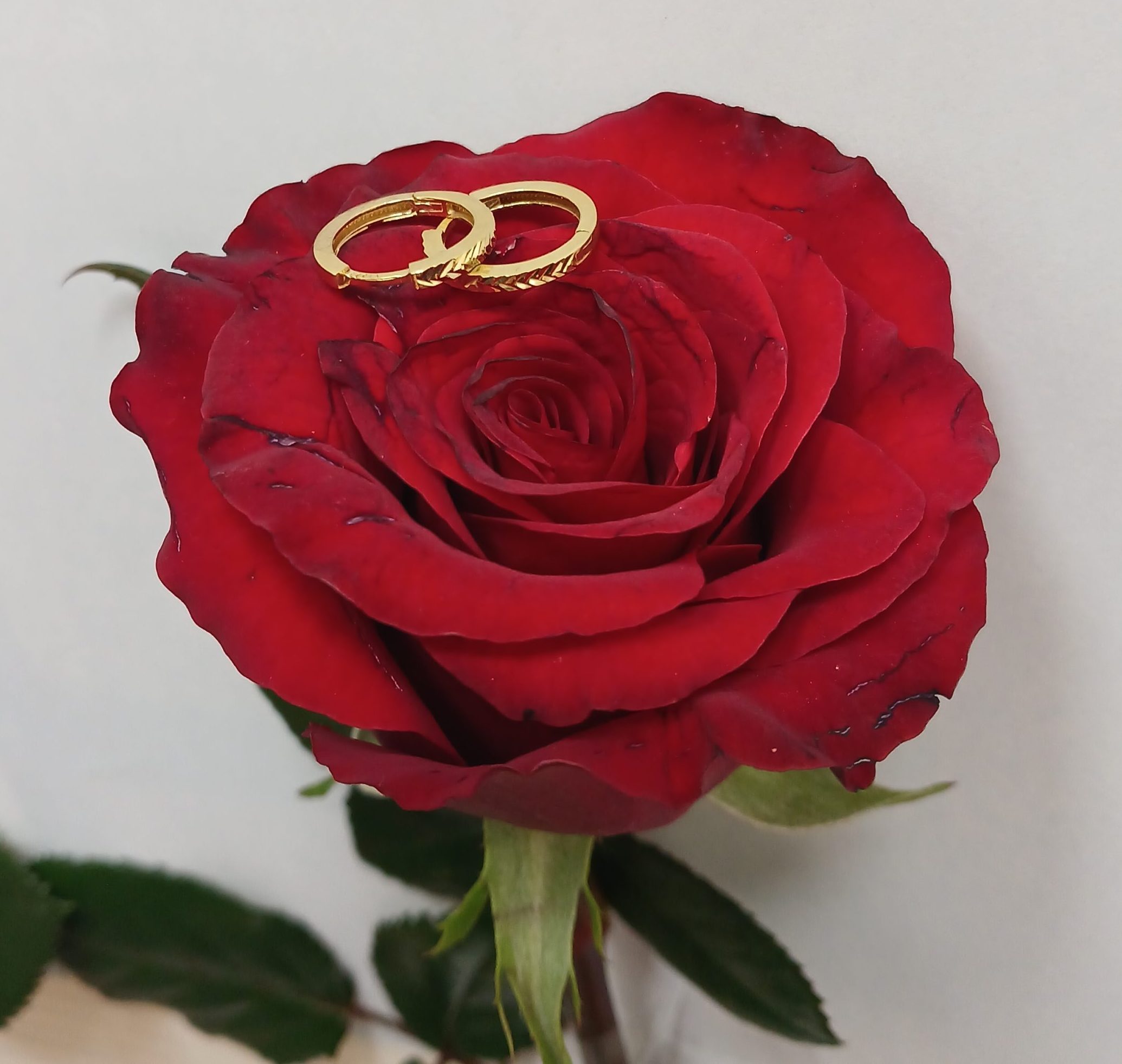 ۲۰۲۶۰۲۱۷_۱۳۰۷۴۸