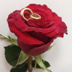 گوشواره حلقه ای
