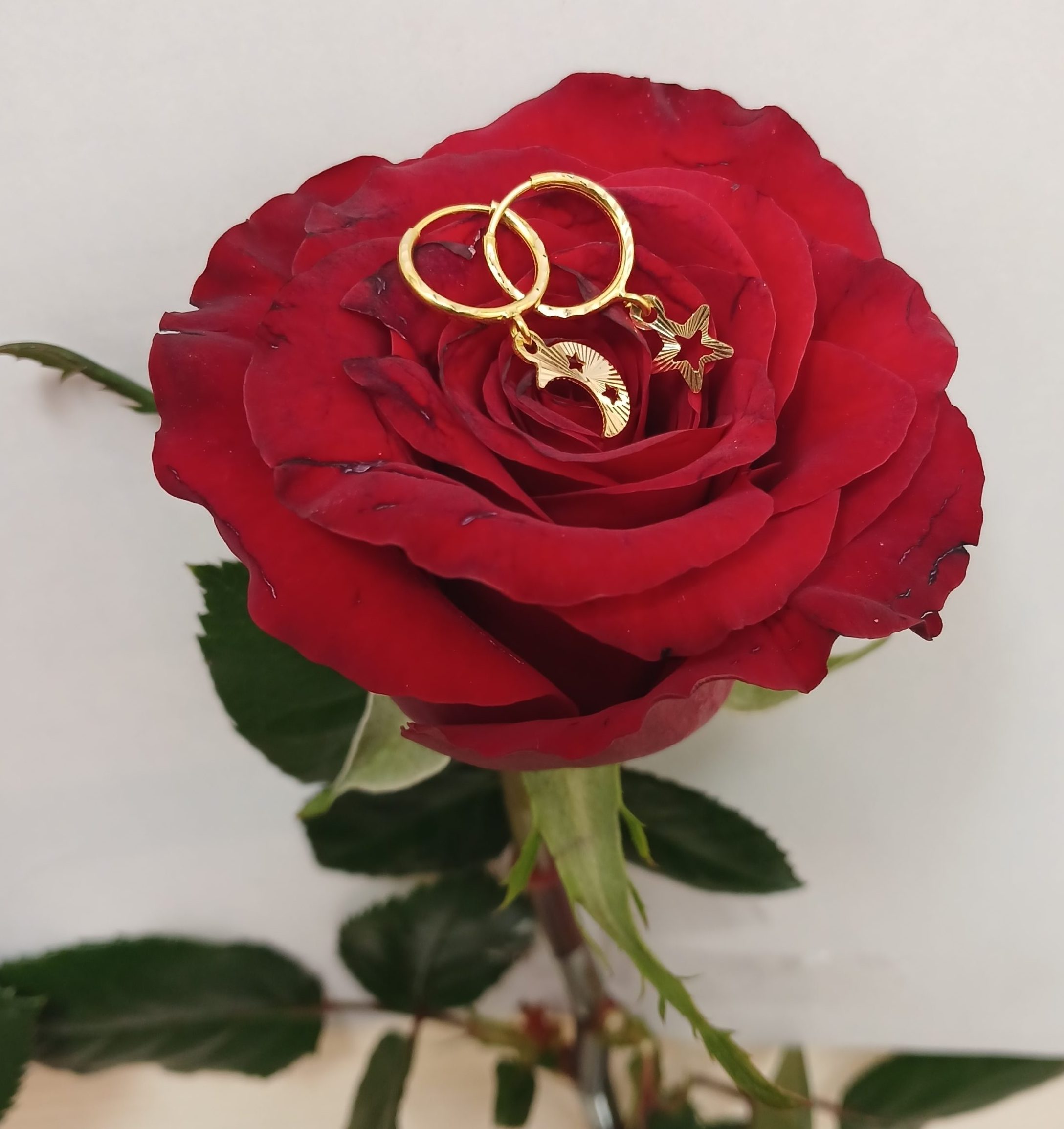 ۲۰۲۶۰۲۱۷_۱۳۰۸۵۷