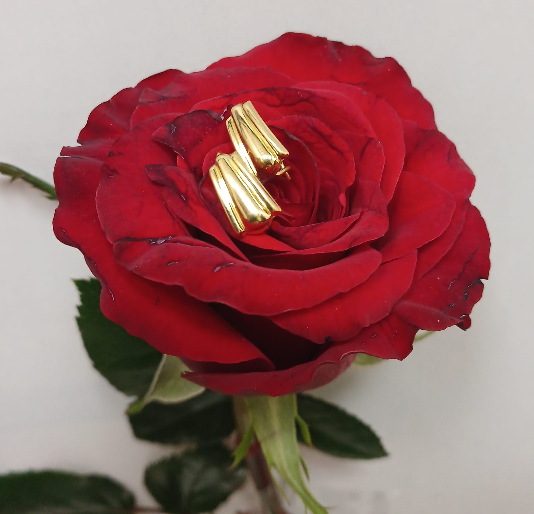 ۲۰۲۶۰۲۱۷_۱۳۰۹۴۳