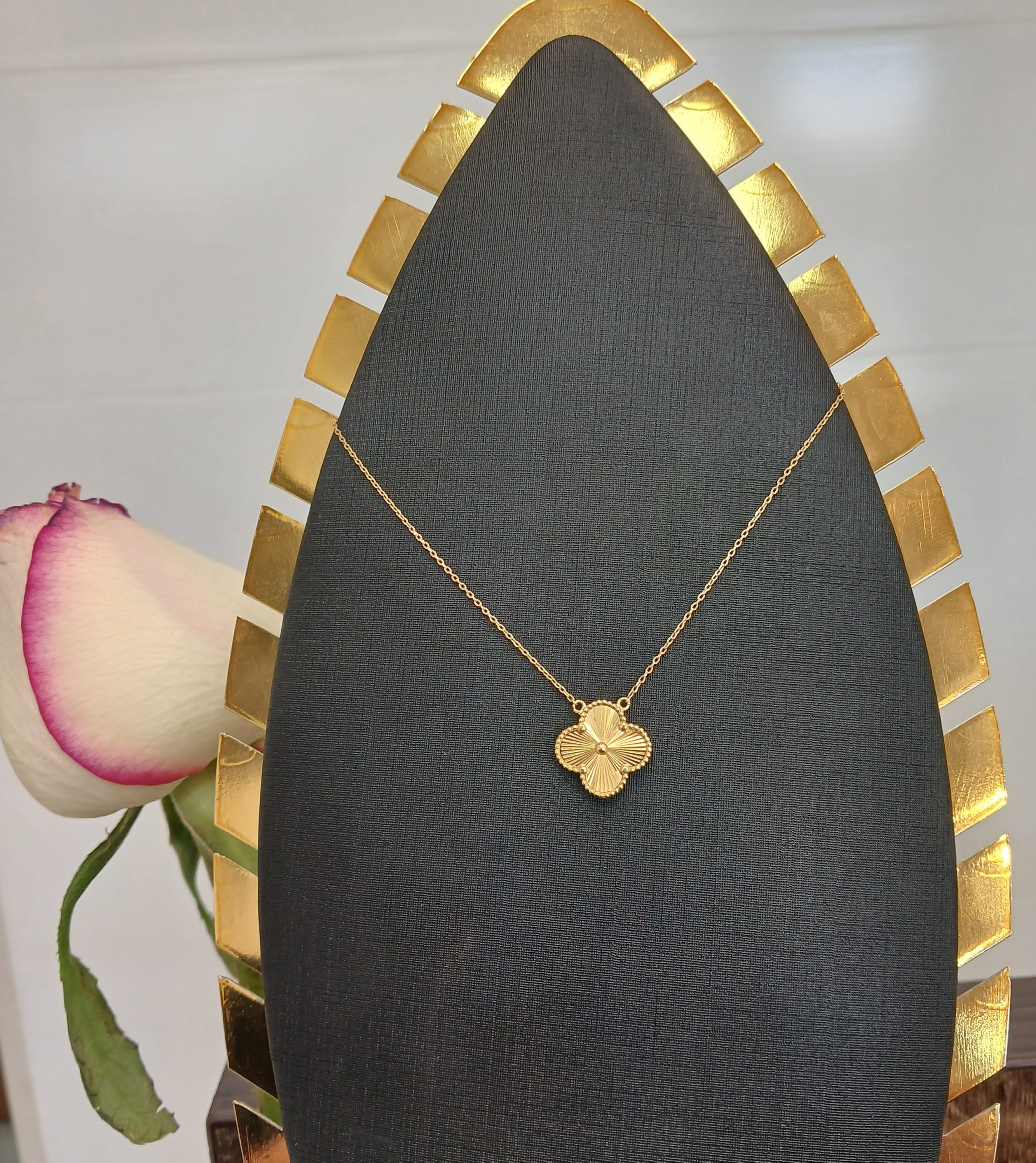 ۲۰۲۶۰۲۲۳_۱۱۱۳۲۱