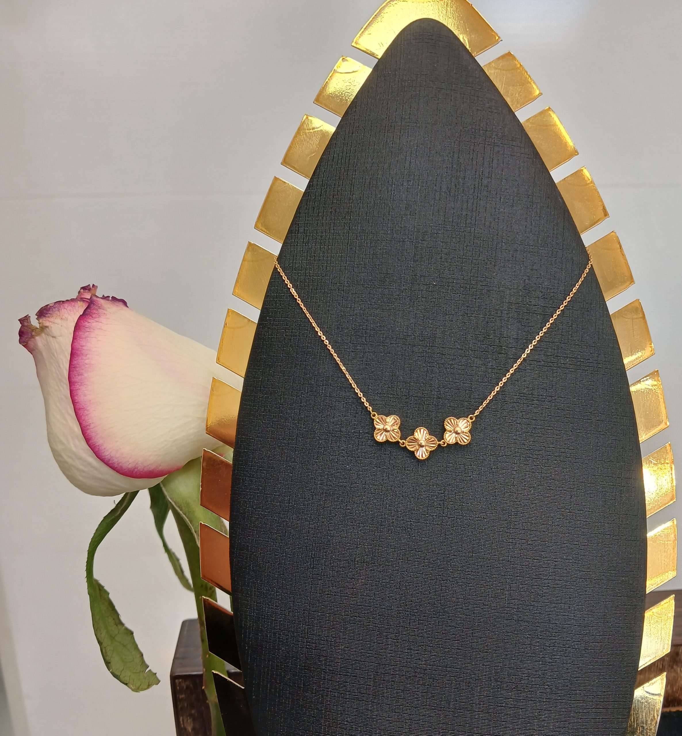 ۲۰۲۶۰۲۲۳_۱۱۱۶۲۹